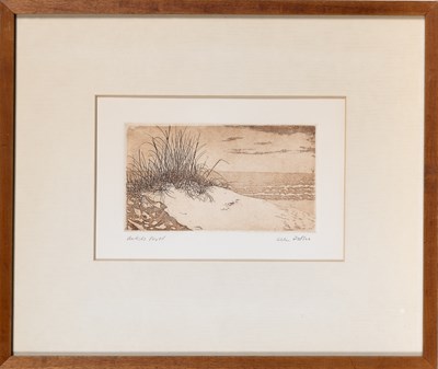 Lot 401 - Sand Dunes - a group of fine art prints by Al Jaffee