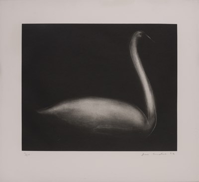 Lot 101 - Joe Andoe (b. 1955)