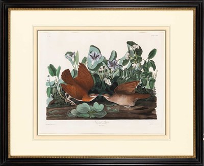 Lot 112 - After John James Audubon (1785-1851)