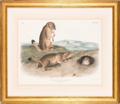 Lot 113 - After John James Audubon (1785-1851)
