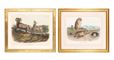 Lot 113 - After John James Audubon (1785-1851)