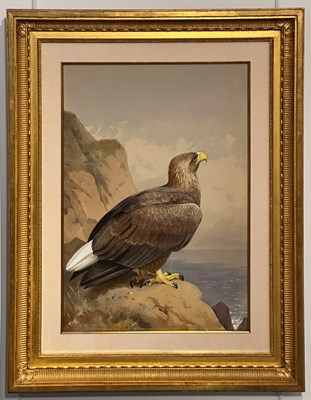 Lot 1010 - Archibald Thorburn
