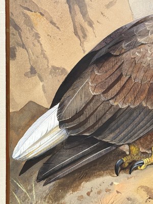 Lot 1010 - Archibald Thorburn