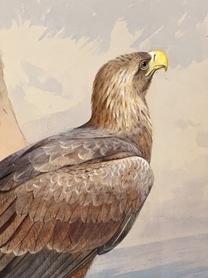 Lot 1010 - Archibald Thorburn