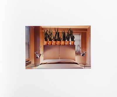 Lot 51 - JOEL MEYEROWITZ and others, The New Color, 10 American Photographers, 1981