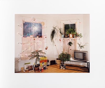 Lot 51 - JOEL MEYEROWITZ and others, The New Color, 10 American Photographers, 1981