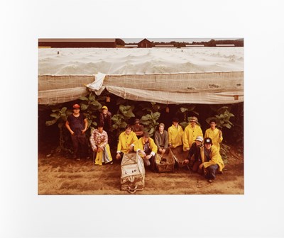 Lot 51 - JOEL MEYEROWITZ and others, The New Color, 10 American Photographers, 1981