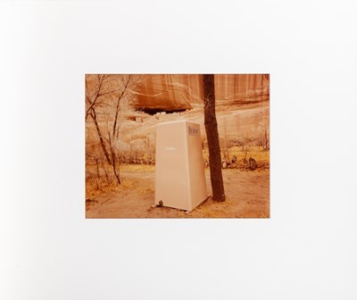 Lot 51 - JOEL MEYEROWITZ and others, The New Color, 10 American Photographers, 1981