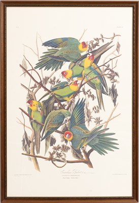 Lot 248 - After John James Audubon