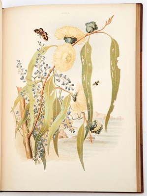 Lot 85 - A beautifully illustrated book of poems, with color-printed plates of Tasmanian plants and insects