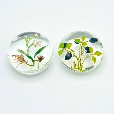 Lot Two Paul Stankard Glass Paperweights