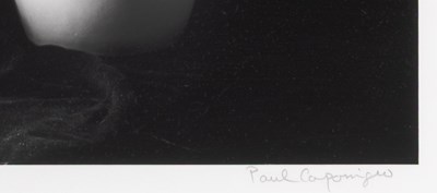 Lot 26 - Paul Caponigro, Sunflowers, [Millerton] New York, 1969