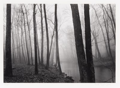 Lot 25 - Paul Caponigro, Fog and Trees, Redding, 1968