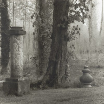 Lot 40 - Lynn Geesaman, Parc de Jeurre, Etampes, France, 1999