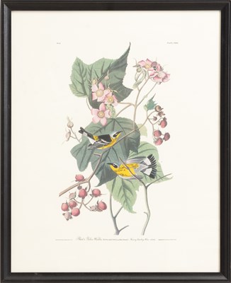 Lot 252 - After John James Audubon