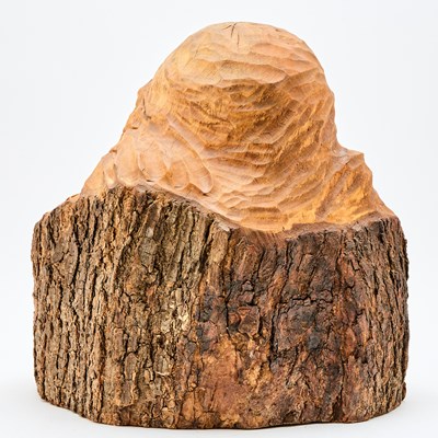 Lot 51 - Igor Bekkerman