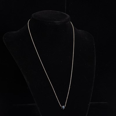 Lot 316 - Two White Gold Necklaces