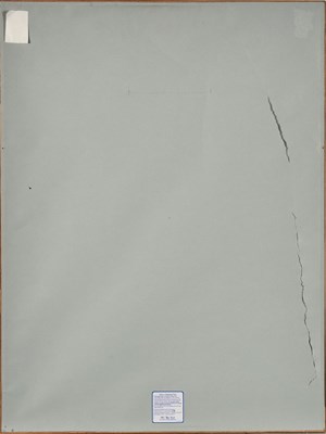 Lot 77 - Ferdinand Schirren