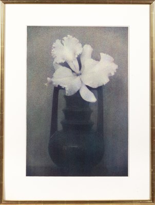 Lot 50 - Sheila Metzner, group of five floral images, 1986
