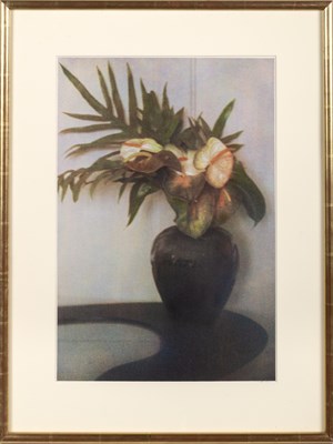 Lot 50 - Sheila Metzner, group of five floral images, 1986