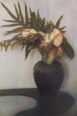 Lot 50 - Sheila Metzner, group of five floral images, 1986