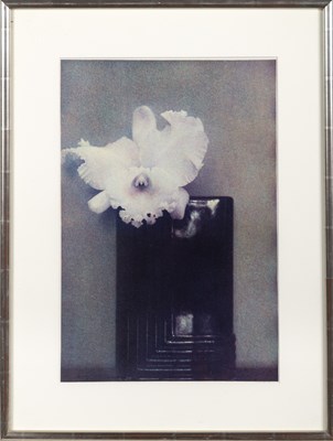 Lot 50 - Sheila Metzner, group of five floral images, 1986
