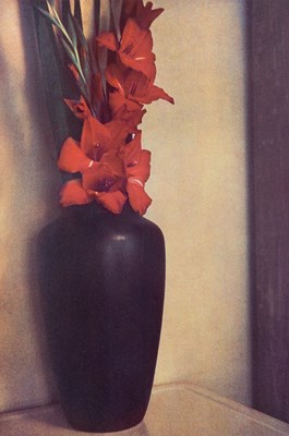 Lot 50 - Sheila Metzner, group of five floral images, 1986