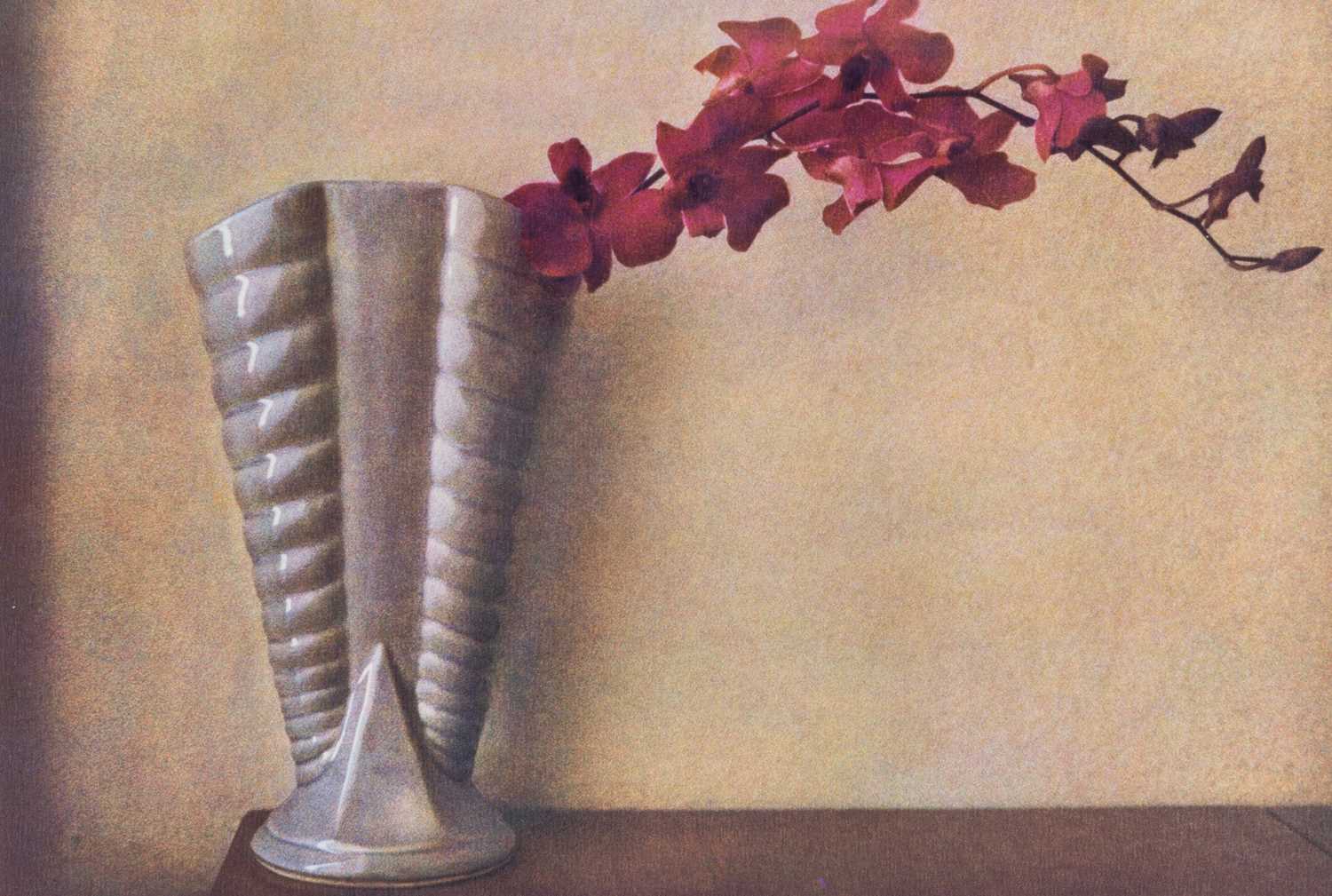 Lot 50 - Sheila Metzner, group of five floral images, 1986