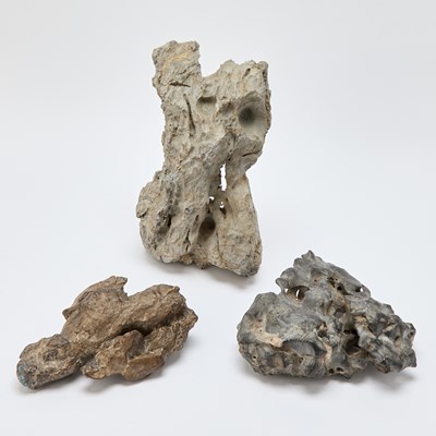 Lot 482 - Three Scholar's Rocks