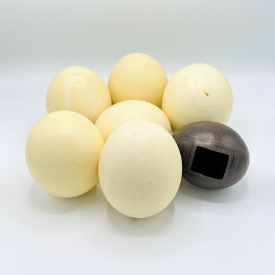 Lot 225 - Group of Six Undecorated Ostrich Eggs