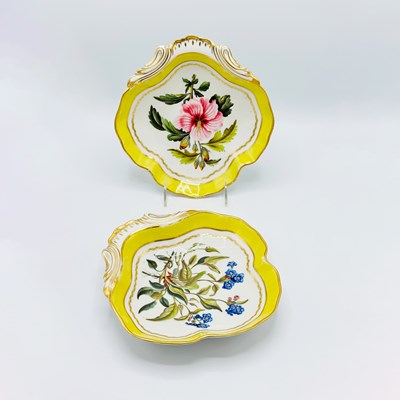 Lot 204 - Pair of Derby Porcelain Shell-Form Botanical Dishes