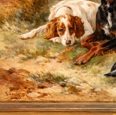 Lot 531 - James Hardy, Jnr.