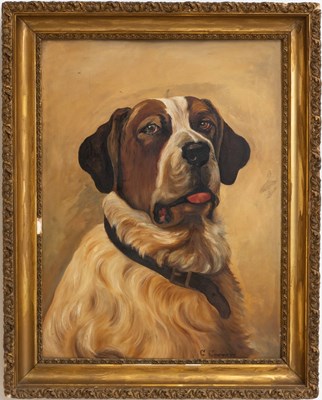 Lot 4 - St Bernard