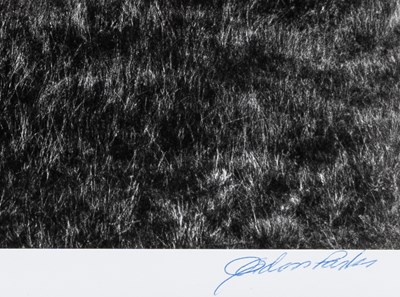 Lot 57 - Two fine Gordon Parks images