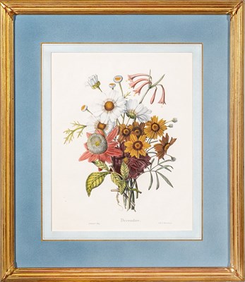 Lot 513 - Paul Louis Oudart (1796-1860) after Pierre-Joseph Redouté (1759-1840)