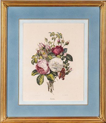 Lot 513 - Paul Louis Oudart (1796-1860) after Pierre-Joseph Redouté (1759-1840)