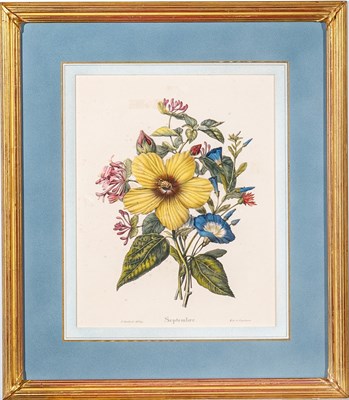 Lot 513 - Paul Louis Oudart (1796-1860) after Pierre-Joseph Redouté (1759-1840)