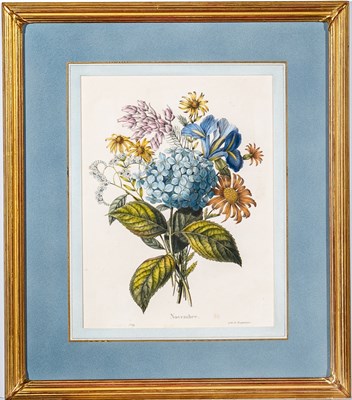 Lot 513 - Paul Louis Oudart (1796-1860) after Pierre-Joseph Redouté (1759-1840)