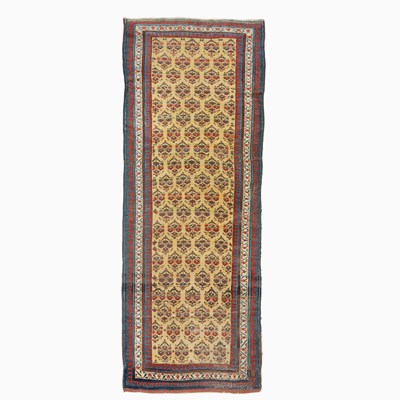 Lot 791 - Lesghi Runner