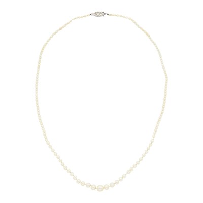 Lot 3156 - Natural and Cultured Pearl Necklace with White Gold Clasp