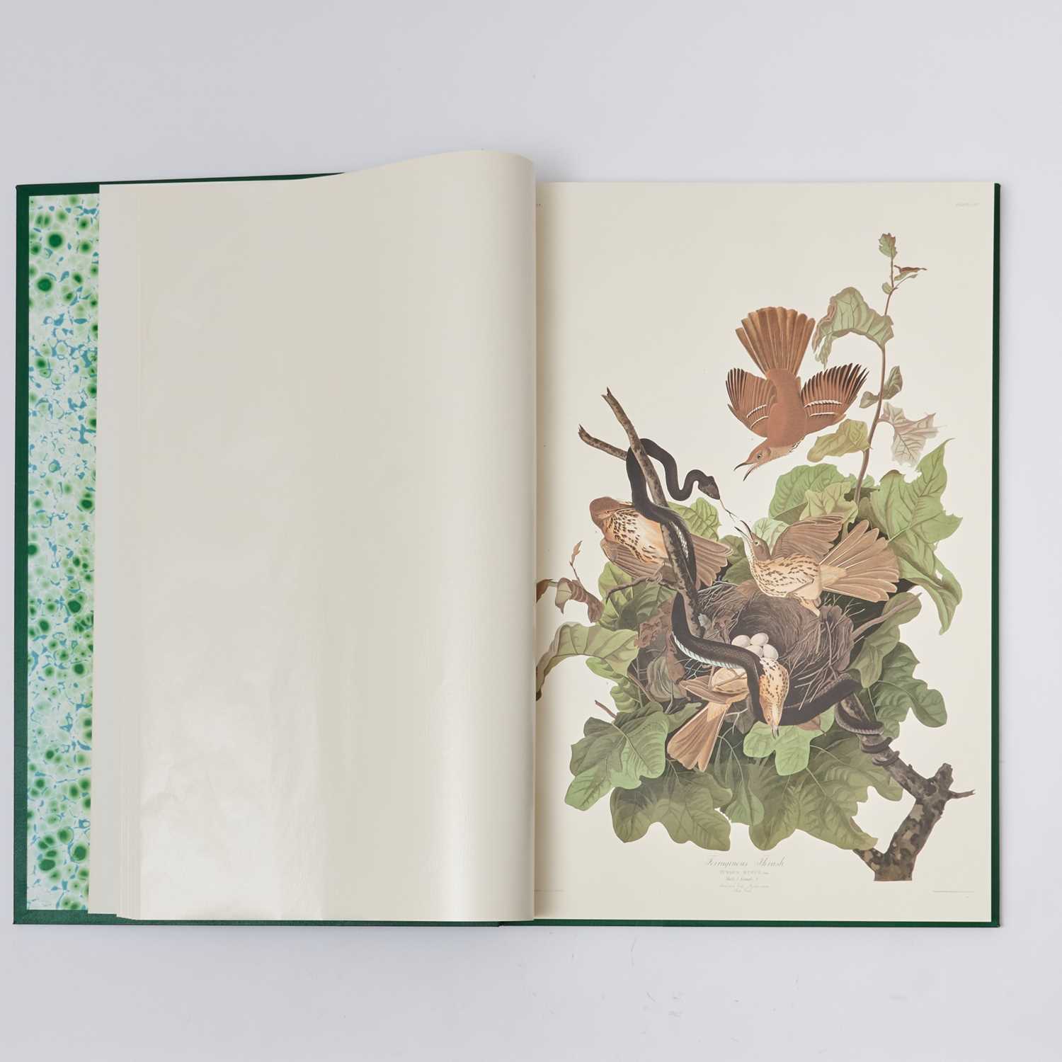 Lot 165 - The Abbeville Press facsimile of the elephant folio Audubon Birds of America