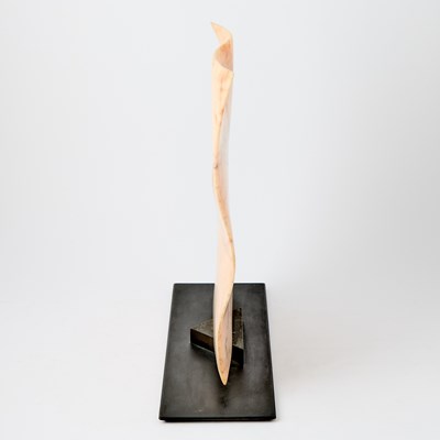 Lot 562 - Xavier Corbero