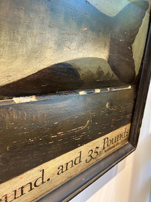 Lot 1191 - Portrait of a Trophy Fish