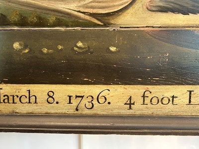 Lot 1191 - Portrait of a Trophy Fish