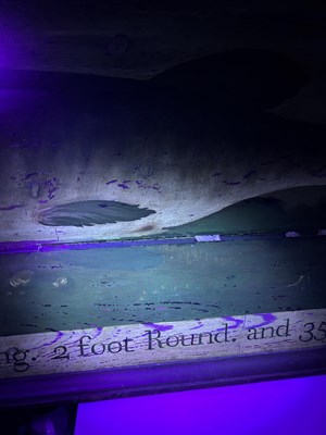 Lot 1191 - Portrait of a Trophy Fish