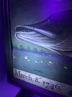 Lot 1191 - Portrait of a Trophy Fish