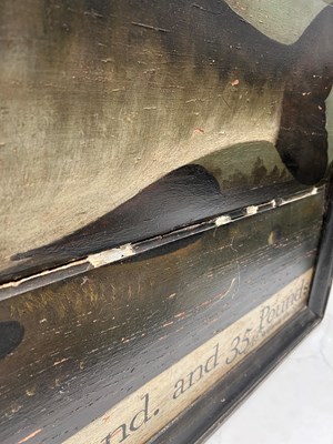 Lot 1191 - Portrait of a Trophy Fish