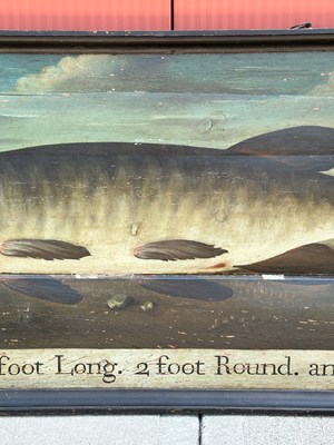 Lot 1191 - Portrait of a Trophy Fish