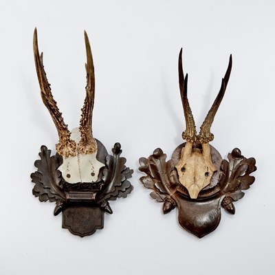 Lot 545 - Group of Black Forest Style Carved Wood Deer and Antler Form Wall Decorations