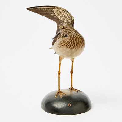 Lot 1196 - Carved and Painted Wood Figure of a Preening Yellowlegs